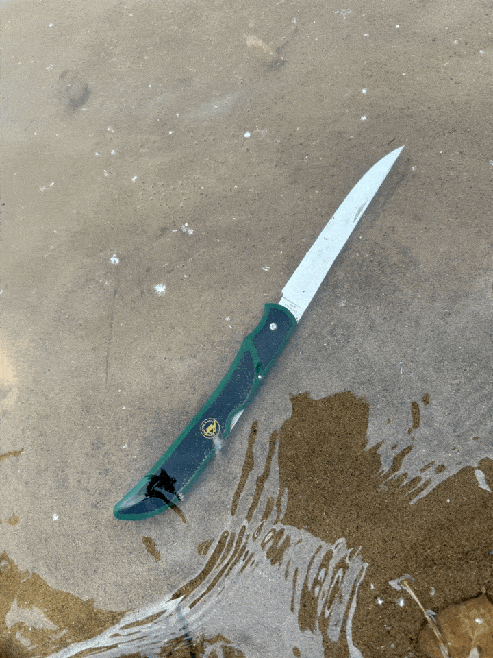 GIF小助手_分享 2.GIF
